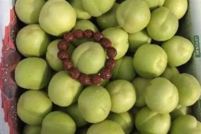 香白杏的价格,一斤需要1.5-5元左右