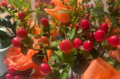 红果金丝桃的花语，寓意娇媚诱惑、迷信等