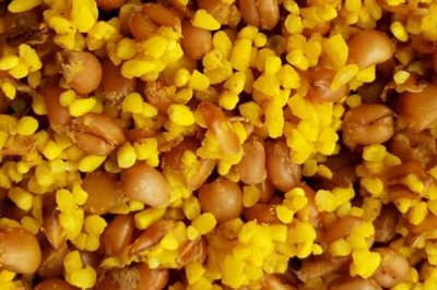 初夏怎么钓鱼,具有水草、深度为1-2米的水域可作为首选钓点