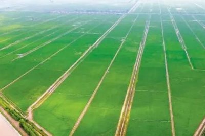 高标准农田建设的目的,目的在于保证我国的粮食产量、安全等