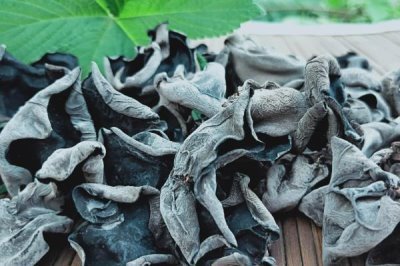 河北平山县的特产,有平山白灵菇、平山姬菇等