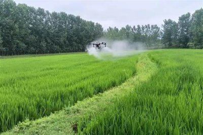 灭草松的防治对象,可灭杀苍耳、问荆、马齿苋等杂草