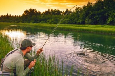 狗鱼怎么钓，5-10月是作钓的最佳时节