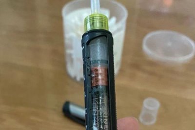 宠物低血糖应该怎么解决,首先要明白低血糖的原因再对症治疗