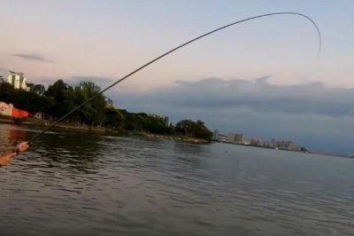 怎么钓甲鱼,对鱼竿要求不高