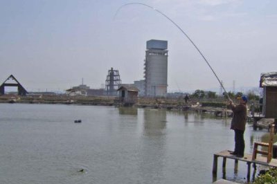 野钓鲶鱼技巧，夏季和初秋是最佳时间