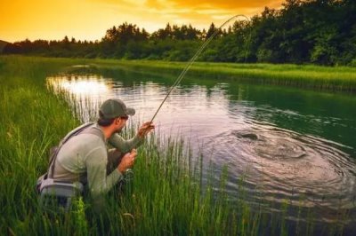 夏钓窝料配方,可使用麦麸、豆粉、红糖、曲酒等材料进行配制