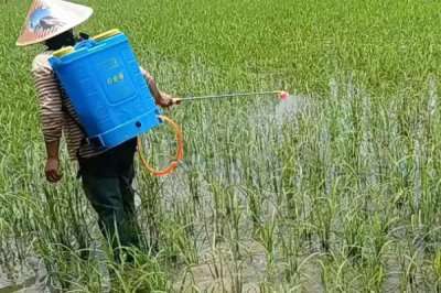 磷酸二氢钾如何兑水，根据作物及使用方法调整兑水量