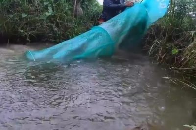 地笼放深水还是浅水合适,通常会放置在浅水区域