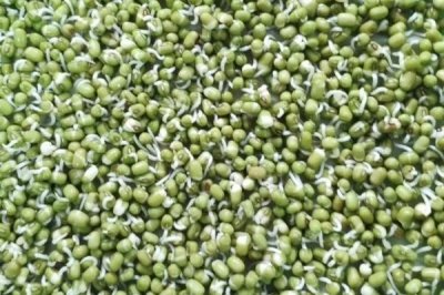 芽苗菜种子有哪些,常见的有绿豆、黄豆、黑豆、豌豆、相思豆等