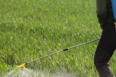 矿源黄腐酸钾有什么作用，能改良土壤、增强肥效、加快植物的生长速度