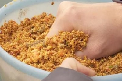 泥鳅打窝过多久可以吸引翘嘴，添加药酒可产生更大的引诱力