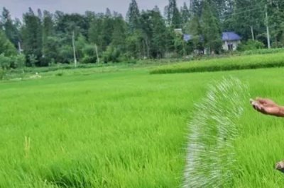 磷肥怎么使用,了解这9个要点