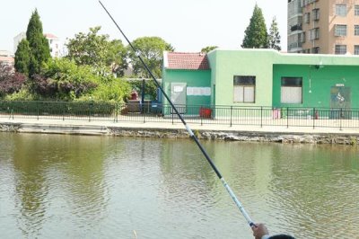 名伦鲩鱼竿介绍，节数为4-9节、调性为37偏28调