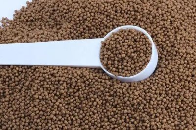 养殖泥鳅用什么饲料，可用植物性饲料和动物性饲料