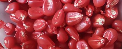 玉米拌种的作用,可有效防烂种、病虫害及倒伏