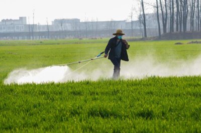 咪鲜胺可以防治什么病害,对水稻恶苗病、稻瘟病、小麦赤霉病等病害具有防效