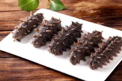 海参的养殖注意事项,要勤换水