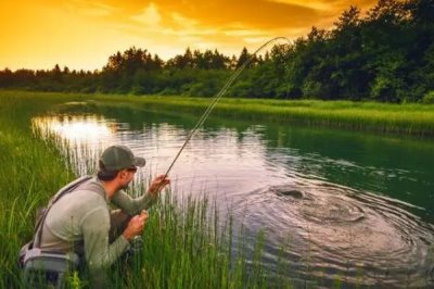 西南风天气能钓到鱼吗,鱼儿的活性明显下降