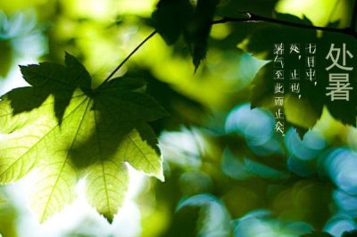 谷雨节气的来源,天上降雨谷物才能生长、因此称为谷雨
