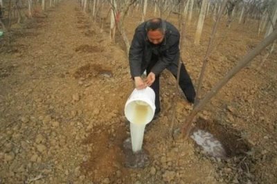 毒死蜱使用方法用量，针对不同作物的使用方法不同