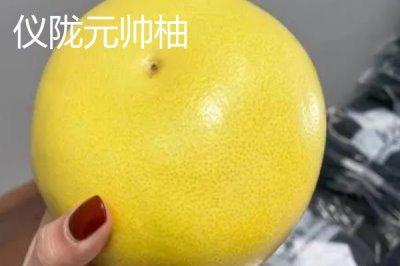 四川仪陇县的特产,胭脂萝卜全国有名