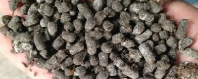 鸡屎能当肥料吗,营养成分丰富可以当肥料