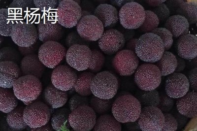 红杨梅和黑杨梅的区别，黑杨梅表示已经熟透了