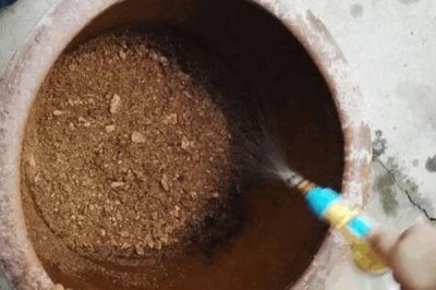 判断饼肥是否完成发酵的方法,轻微成团、散发出酵甜味便表示成功发酵