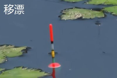 钓鱼漂相技巧，黑漂最值得期待
