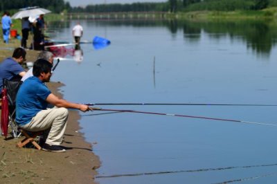 钓鲢鳙的适宜时间,夏季全天均可作钓