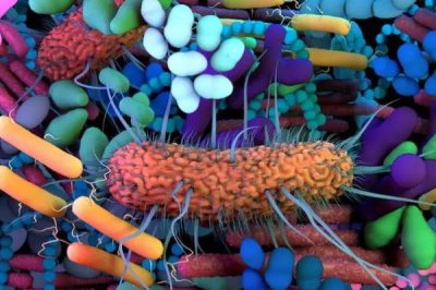 复合微生物冲施肥施用的作用,可活化土壤增加肥力等