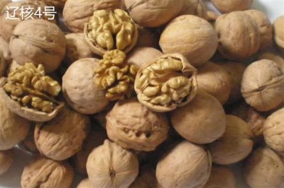 核桃的价格,一斤需要10-20元左右