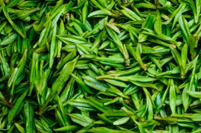 鸽子产蛋要在窝里垫什么,第一选择为稻草