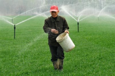 小麦后期喷什么微肥能增产增重,可以喷锌肥、硼肥、铁肥等