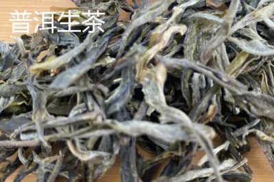 普洱茶的产地,主产于云南省