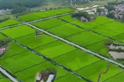 高标准农田建设的目的,目的在于保证我国的粮食产量、安全等