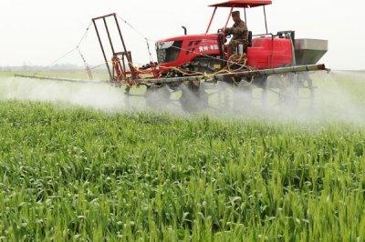 怎么防治小麦全蚀病,与棉花、烟草进行轮作可明显降低发病率