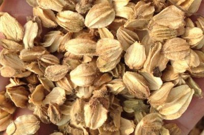 沙参的市场价格,一斤售价15元左右