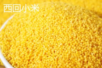 山西阳泉的特产，连翘茶是当地的特色茶种