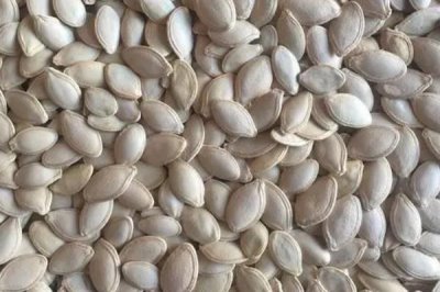 蒲瓜有种子吗,种子就是瓜瓤包裹着的白色卵形籽粒