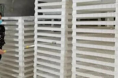 蚕的养殖方法,补催青时需要避免日晒