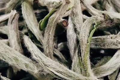 白茶的产地，不同品种的产地不一