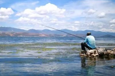 如何野钓鲢鳙，可选择有风浪的开阔水域作为钓点