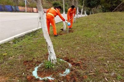 施复合肥有哪些注意事项,高浓度复合肥主要用在经济作物上