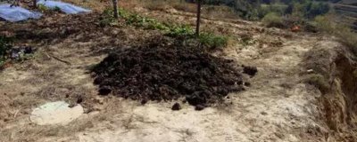 农家肥和化肥有什么区别,来源、作用和肥效均不同