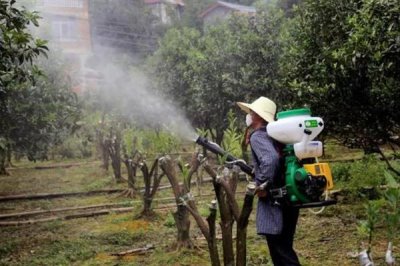 有哪些叶面肥，常见的有尿素、过磷酸钙等