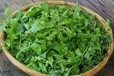 种植野菜的利润，因品种、产量等条件而异