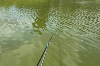 钓鲈鱼的方法,路亚、传统或拉流钓法都适用