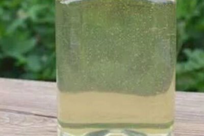 蜂蜜有几种颜色,主要有白色、水白色、琥珀色等7种颜色